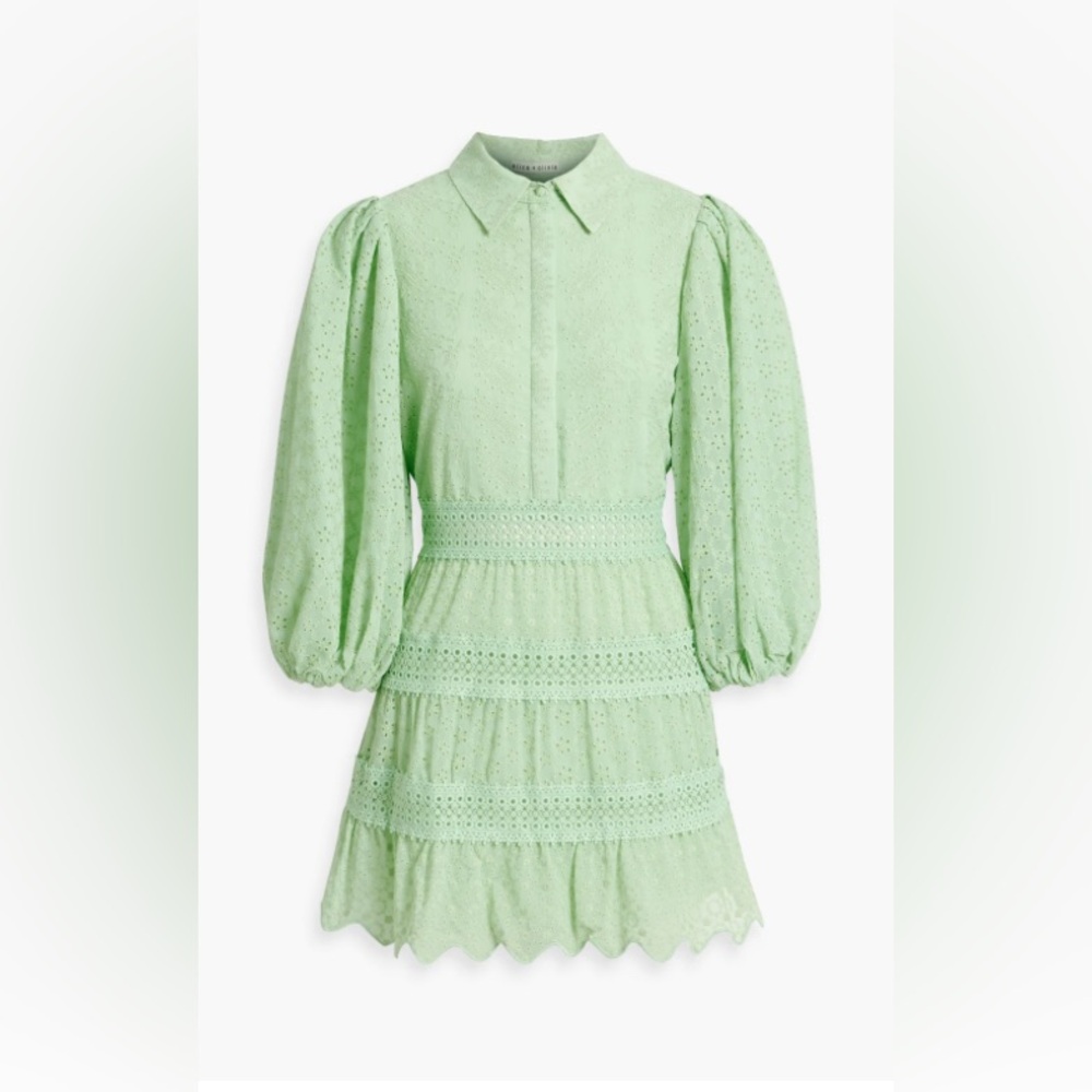 Alice+Olivia Blakesley Balloon-sleeve Embroidered Mini Dress In Pistachio Size 4